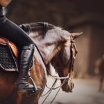 A young lady riding a horse