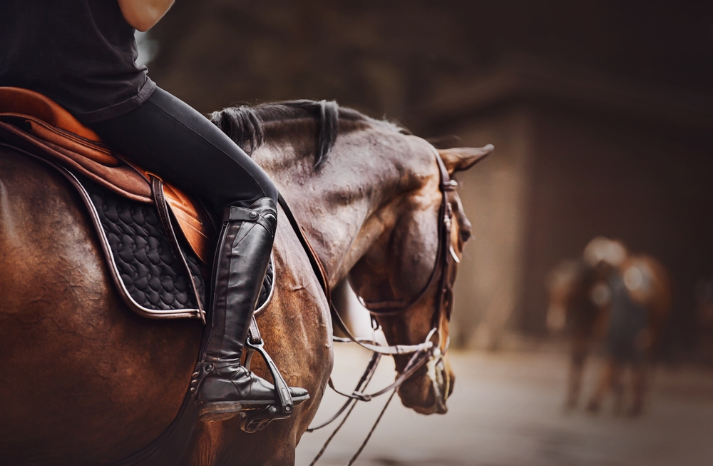 A young lady riding a horse