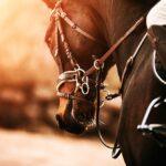 A young man riding ahorse