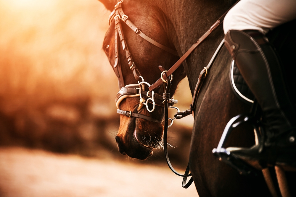 A young man riding ahorse